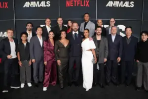 Entertainment & Media